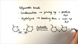 AS Biology  Basics of carbohydrates OCR A Chapter 33 [upl. by Albin]