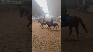 2 HORSIES🩷🩷 horse hobbyhorseedit equestrian hobbyhorsecomunity pony [upl. by Liane]