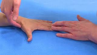 Hand examination Thumb extension and abduction EPL EPB and AbPL [upl. by Marthena502]