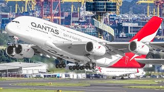 400 AIRCRAFT TAKEOFFS amp LANDINGS in 4 HOURS Aircraft Identification  Sydney Airport Plane Spotting [upl. by Felike]