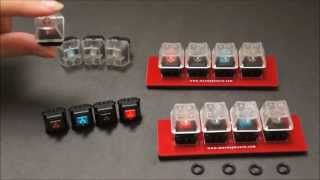 Max Keyboard Premium PCB mount Cherry MX Switch ORing and Keycap Sampler Kit [upl. by Zetrac]