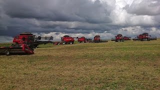 Aviao da fazenda sobrevoando a frota de CASE IH cerrado do piauí MAPITOBA [upl. by Eninej]