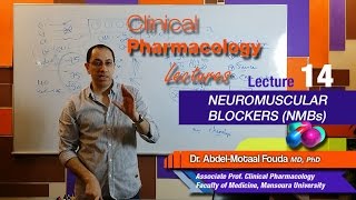 Autonomic Pharmacology Ar  Lec 14  Neuromuscular blockers NMBs [upl. by Llemaj]