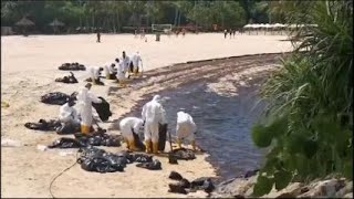 Oil spill blackens part of Singapore coastline [upl. by Cirilo743]