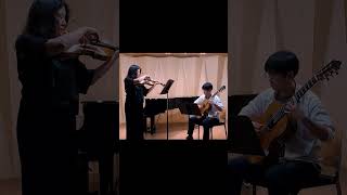 FSchubertArpeggione Sonata 1st mov viola and guitar [upl. by Kirsti]