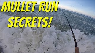 The SECRETS To Fishing the Florida Mullet Run Tackle Tuesday [upl. by Ailina861]