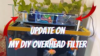 Update on my Overhead sump filter  diy [upl. by Katleen]