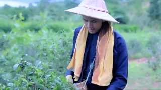 စာချွန်တော်  ဇွဲပြည့် l Sar Chon Taw  Zwe Pyae  Official MV [upl. by Jelene]