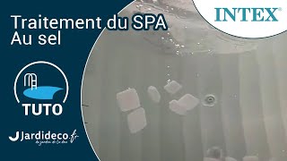 Le sel et l’écostérilisateur d’un spa gonflable Intex [upl. by Ellerred]