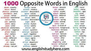 1000 Opposite Words in English  Antonym Words List  Common Opposites [upl. by Mcafee]