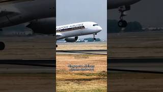 Landing Plane Spotting Runway 24 jetliners dreamliner [upl. by Sturdivant]