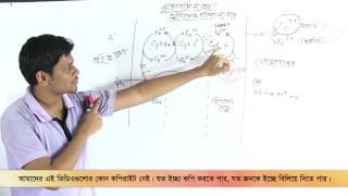 03 Active Transport Processes of Salt Absorption Part 01  লবণ পরিশোষণের সক্রিয় মতবাদ পর্ব ০১ [upl. by Ellehsat724]