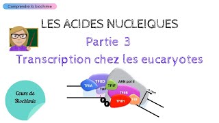 TRANSCRIPTION CHEZ LES EUCARYOTES  ACIDES NUCLEIQUES Partie 3  Biochimie Facile [upl. by Aillicec413]