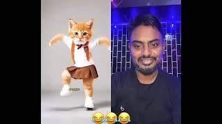 ओह तेरी ज्यादा accelerate कर दिया 😂😂😂 cat cattos funny catee cute dance katz fun comedy [upl. by Dnesnwot12]