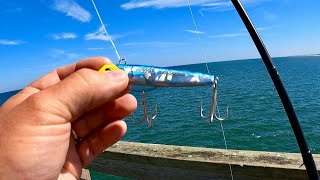 Gotcha plugs at the Jax Pier PLUS meeting and helping people my favorite part [upl. by Irodim]