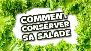 Comment garder votre salade fraîche et délicieuse [upl. by Ahsinned267]