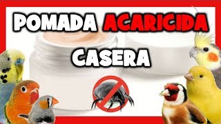 Como Hacer POMADA CASERA para PREVENIR y ELIMINAR PIOJILLOS y ACAROS en CANARIOS y PAJAROS EXOTICOS [upl. by Ylebmik]