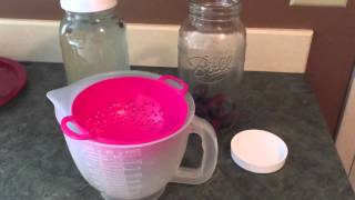 How to Make Kefir Water [upl. by Anavoj]