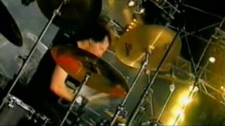 The Young Gods quotSkinflowersquot Live Paléo Festival 2001 [upl. by Schoof131]