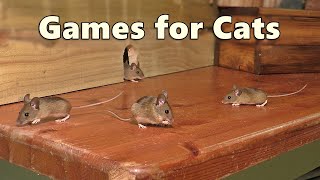 Cat Games  Mouse Watch TV  Mice for Cats to Catch 🐭 [upl. by Eecyak]