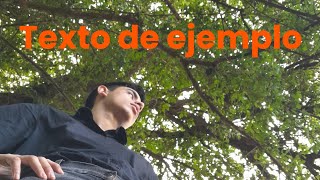 Texto de ejemplo [upl. by Kaliope]