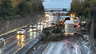 Mudslide in Bellingham Washington Caused By Carpet [upl. by Nonnek]