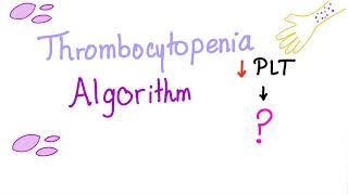 Thrombocytopenia Evaluation Algorithm [upl. by Llerut138]