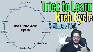 Mnemonic to Learn Kreb Cycles Substrates and Places of NADH FADH2 amp ATP Release  TCA Cycle Trick [upl. by Innoc]