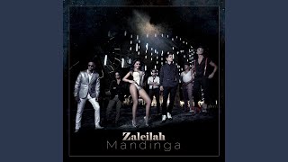 Zaleilah Extended Mix [upl. by Eiznekcm]