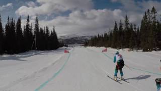 SkiCross  Lofsdalen Sweden 2017 [upl. by Rimidalv]