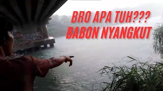 Pemandangan indah di Kolong Jembatan Cisadane [upl. by Tapes]