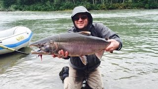 Coho Fishing in the Kemano River Northern British Columbia [upl. by Rihaz]