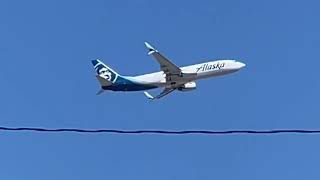 Sunny Afternoon SeaTac Plane Spotting Ft A340600 [upl. by Teraj]