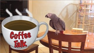 Morning Coffee Talk with Einstein the Talking Texan Parrot [upl. by Vogeley]