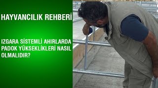 Hayvancılık Rehberi  Izgara Sistemli Ahırlarda Padok Yükseklikleri Nasıl Olmalıdır [upl. by Philipson]