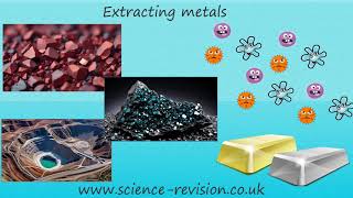 Phytomining and Bioleaching What is phytomining What is Bioleaching [upl. by Senilec]