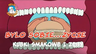 Bylo Sobie Zycie 🌱  Kubki smakowe i zęby 🦷 [upl. by Beauvais]