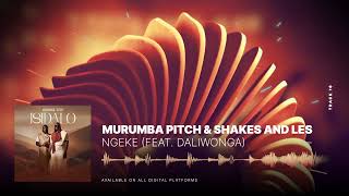 Murumba Pitch and Shakes amp Les  Ngawe feat Daliwonga [upl. by Naryb132]