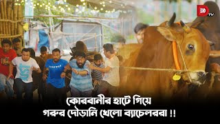 কোরবানীর হাটে গিয়ে গরুর দৌড়ানি খেলো ব্যাচেলররা [upl. by Danziger732]