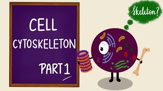 Cell Cytoskeleton  Part 1  Microtubules  Cilia  Cell Biology  Cell Physiology [upl. by Liebowitz624]