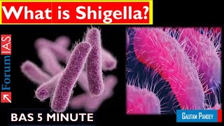 What is Shigella  Bas 5 Minute  ForumIAS [upl. by Oratnek]