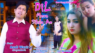 DIL MERA SIKDA AE  SiNGER ASAD WAZIR HAROONABADI I New Song 2024  RA official [upl. by Aihtniroc]