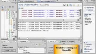 SAP HANA Studio Tutorial 4  INSERT Statement [upl. by Audley524]