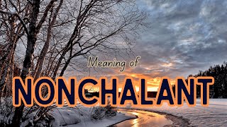 What is the meaning of Nonchalant [upl. by Cerelia]