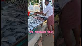 Mean kachavadamreels fish kachavadam uppaummakkalum 935  reels  videos [upl. by Pettit]