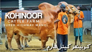 Cattle Farm Super Highway  Cow Mandi Karachi 2023  Cattle Market  Expedition Pakistan [upl. by Gebler464]