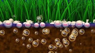 Boost Fertilizer Performance with Kimleigh Chemicals SAs Urease and Nitrification Inhibitors [upl. by Rekrap508]