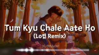 Tum Kyu Chale Aate Ho  Lofi Remix  M Oraon  Textaudio [upl. by Arriec]