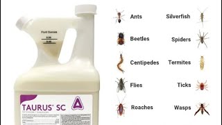 How to Apply Taurus SC Termiticide Prevent and Kill Termites amp Many More [upl. by Tory]