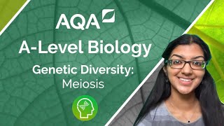 AQA A Level Biology Meiosis [upl. by Nolyaw161]